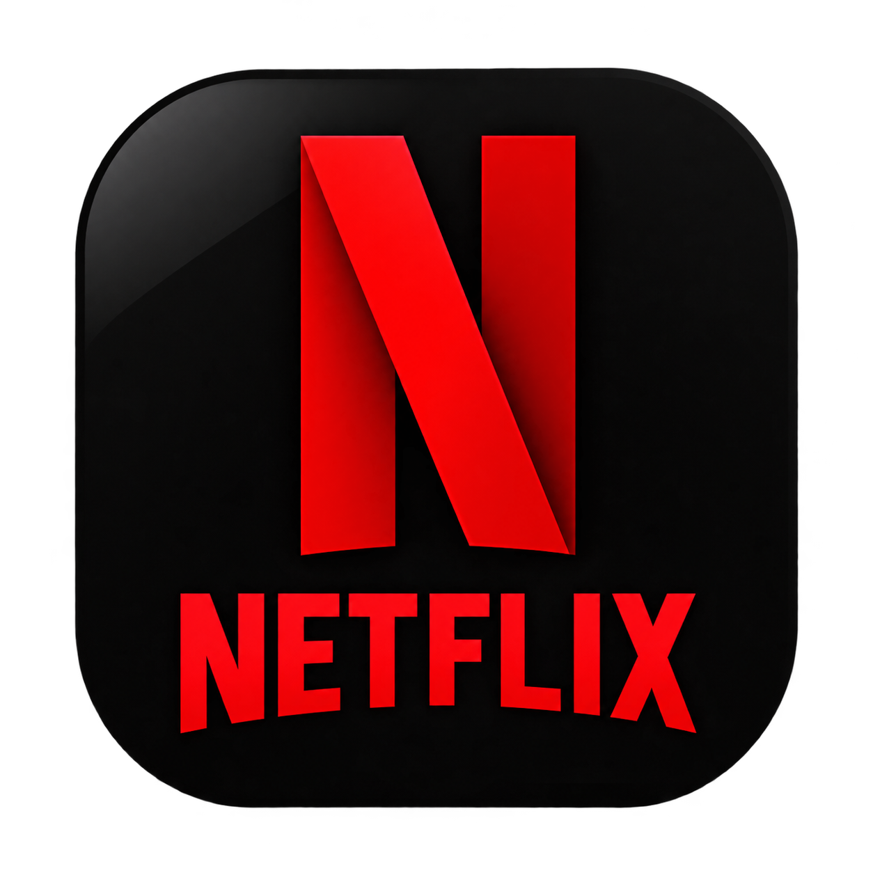 Netflix Subscription 